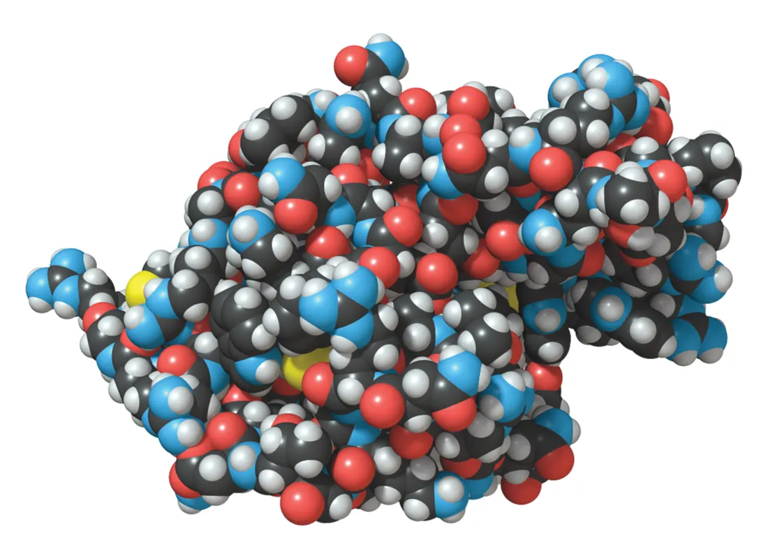 Space-filling molecular visualization of a protein structure